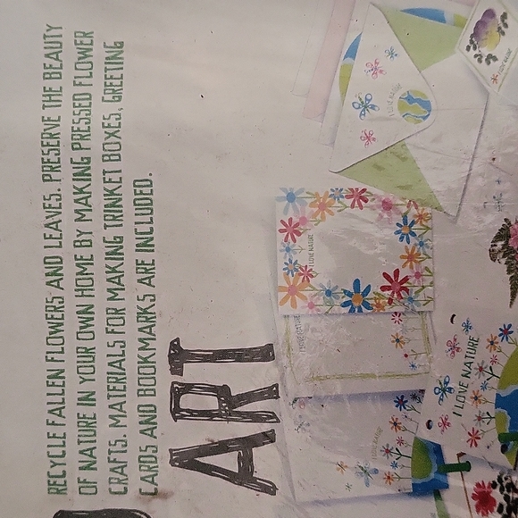 Green Creativity Pressed Flower Art - Picture 3 of 7